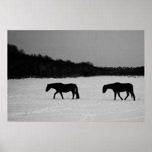 Pferde auf Schneefall Poster