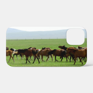 Pferde auf Weide - Landschaftsfotografie Case-Mate iPhone Hülle