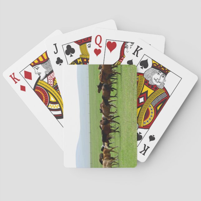 Pferde auf Weide - Landschaftsfotografie Spielkarten (Rückseite)