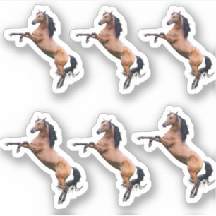 Pferde Aufkleber