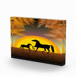 Pferde bei Sonnenuntergang Fotoblock