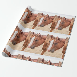 Pferde beim Schmusen auf einer Weide Geschenkpapier