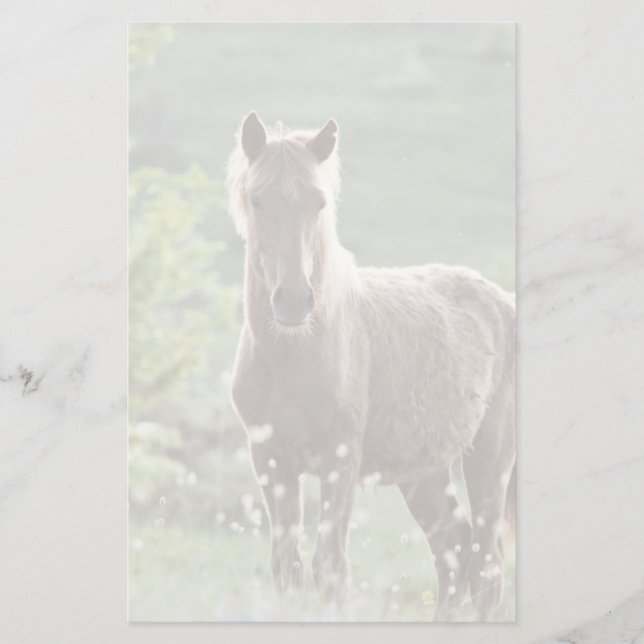 Pferde Briefpapier (Vorderseite)