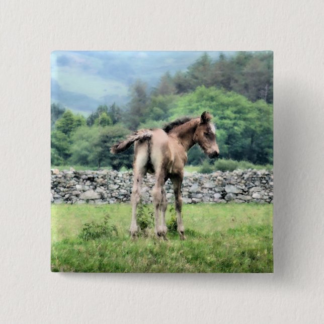 PFERDE BUTTON (Vorderseite)