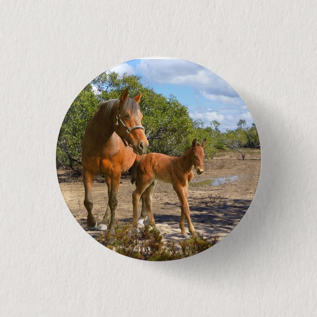 Pferde Button (Vorderseite)