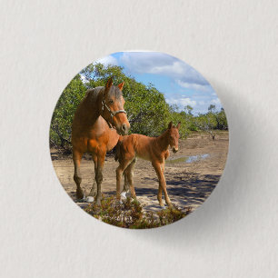 Pferde Button