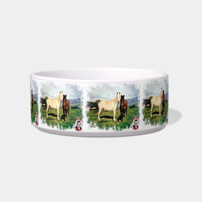Pferde/Cabalos/Horses Napf (Links)