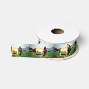 Pferde/Cabalos/Horses Ripsband