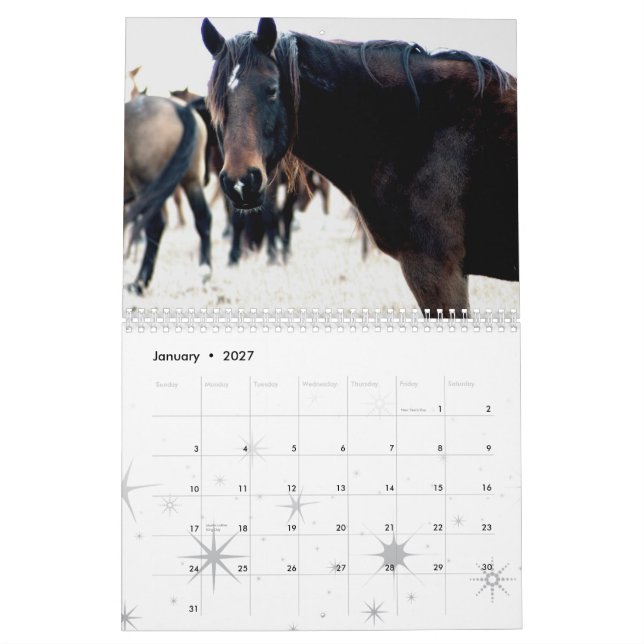 Pferde der Feuerstein-Hügel Kalender (Jan 2027)