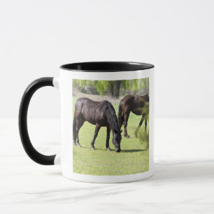 Pferde, die auf einem Pferdebauernhof weiden Tasse