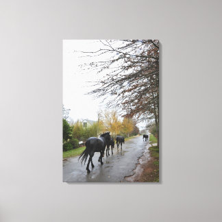 Pferde, die die Oak Street in Regen, Greyton, Leinwanddruck