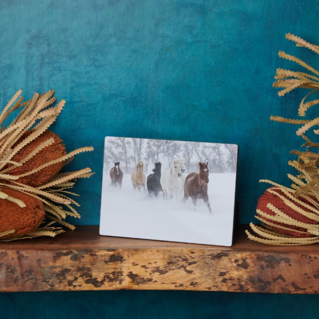 Pferde, die durch den Schnee laufen Fotoplatte (Seite)