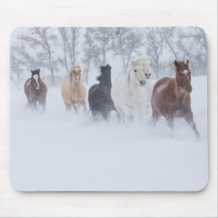 Pferde, die durch den Schnee laufen Mousepad