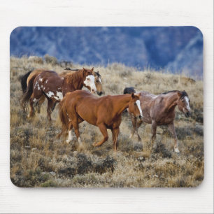 Pferde, die durch die Hügel streifen Mousepad
