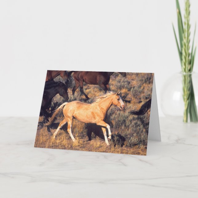 Pferde, die eine Ponderosa Ranch laufen Karte (Vorderseite)