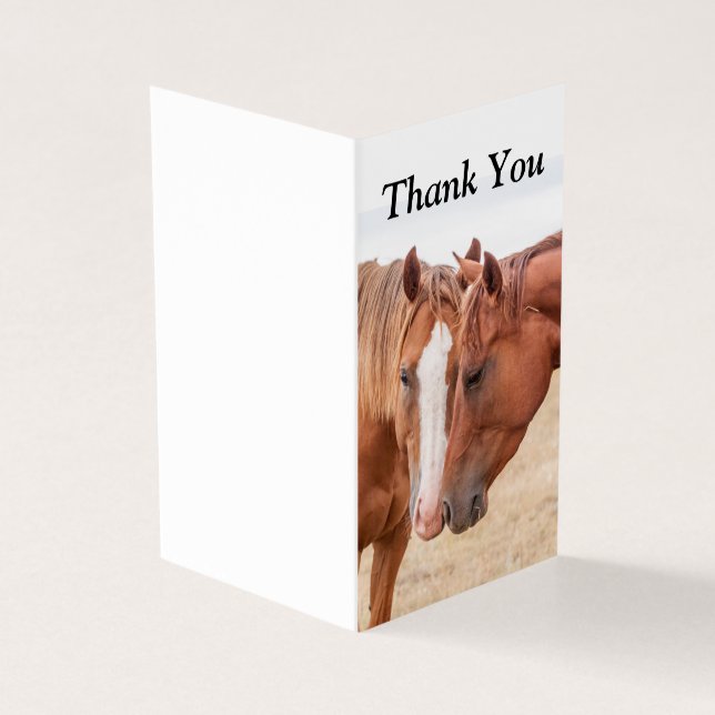 Pferde, die in einer Weide nass werden (Vorderseite)