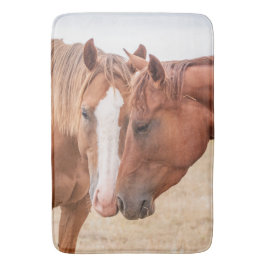 Pferde, die in einer Weide nass werden Badematte