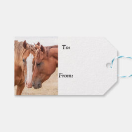 Pferde, die in einer Weide nass werden Geschenkanhänger