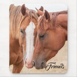 Pferde, die in einer Weide nass werden Mousepad