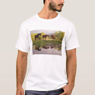 Pferde, die in kleinen Bach reflektiert werden, Hö T-Shirt