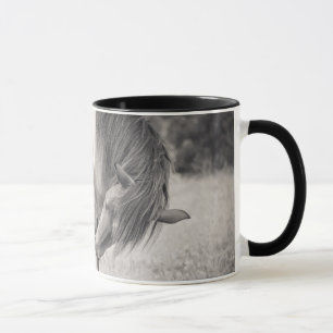 Pferde, die Tasse küssen