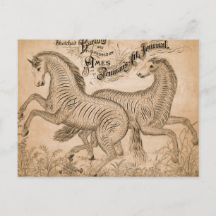 Pferde durch Schönschrift Postkarte