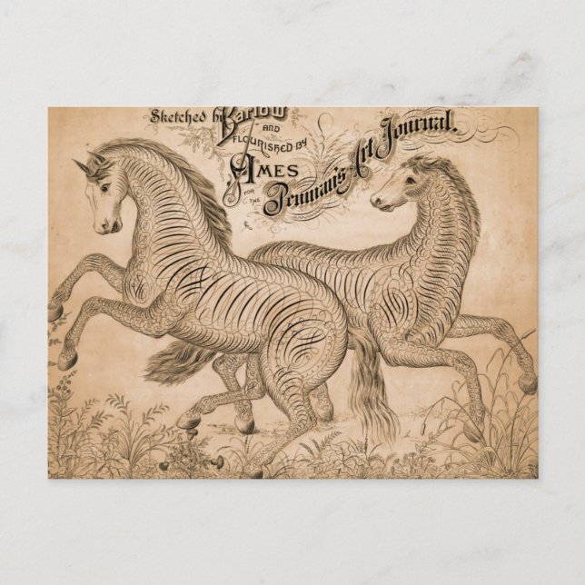 Pferde durch Schönschrift Postkarte (Vorderseite)