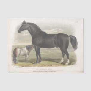 Pferde Ephemera Decoupage Vintag Clydesdale Seidenpapier