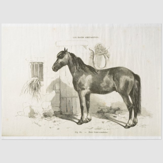 Pferde Ephemera Decoupage Vintag Stable Seidenpapier (Vorderseite)