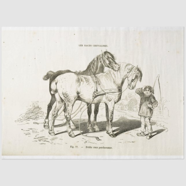 Pferde Ephemera Decoupage Vintager Französischer J Seidenpapier (Vorderseite)