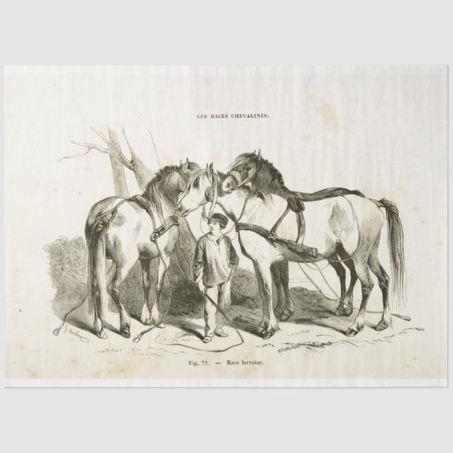 Pferde Ephemera Decoupage Vintages Französisches G Seidenpapier (Vorderseite)