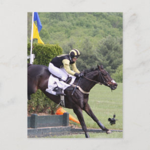 Pferde Eventing Postcard Postkarte