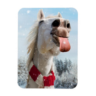 Pferde fangen Schneeflocken Magnet
