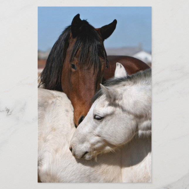Pferde Farm Ranch Reitsport Western Sport Liebe Flyer (Vorne)