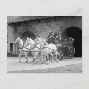 Pferde-Feuerwehr, 1922 Postkarte