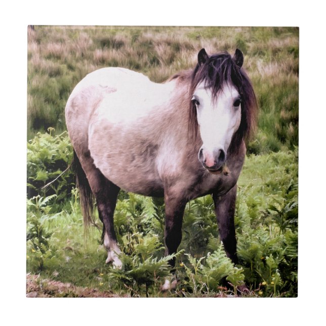 PFERDE FLIESE (Vorderseite)