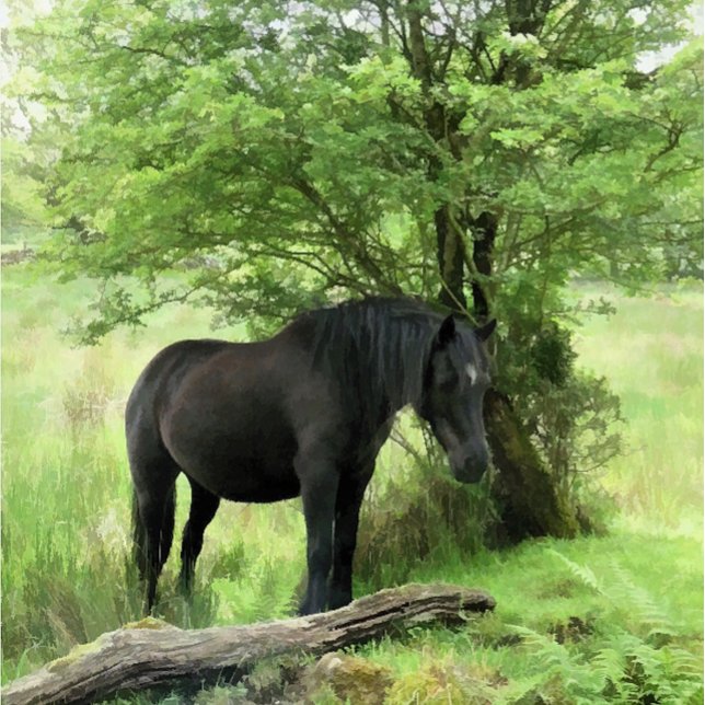 PFERDE FLIESE (A beautiful black mare resting in the shade of the tree.)