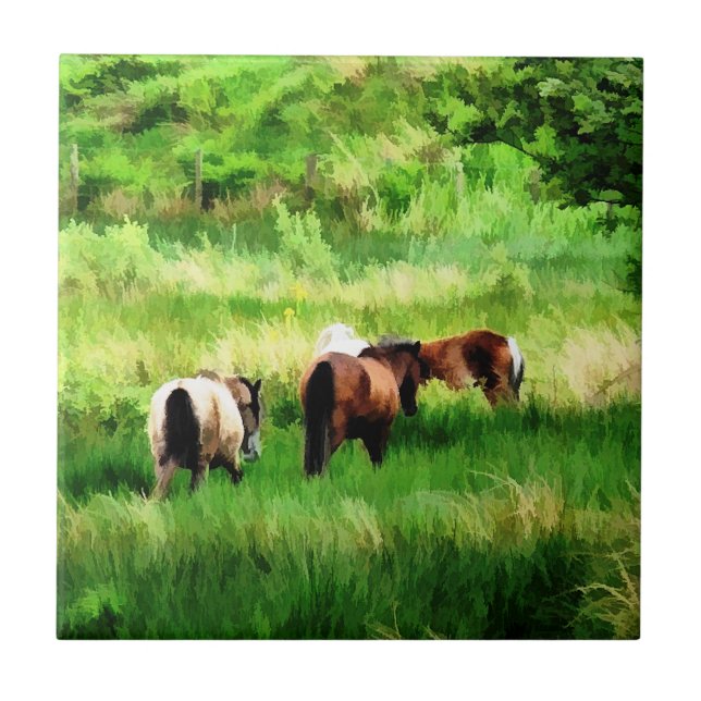 PFERDE FLIESE (Vorderseite)