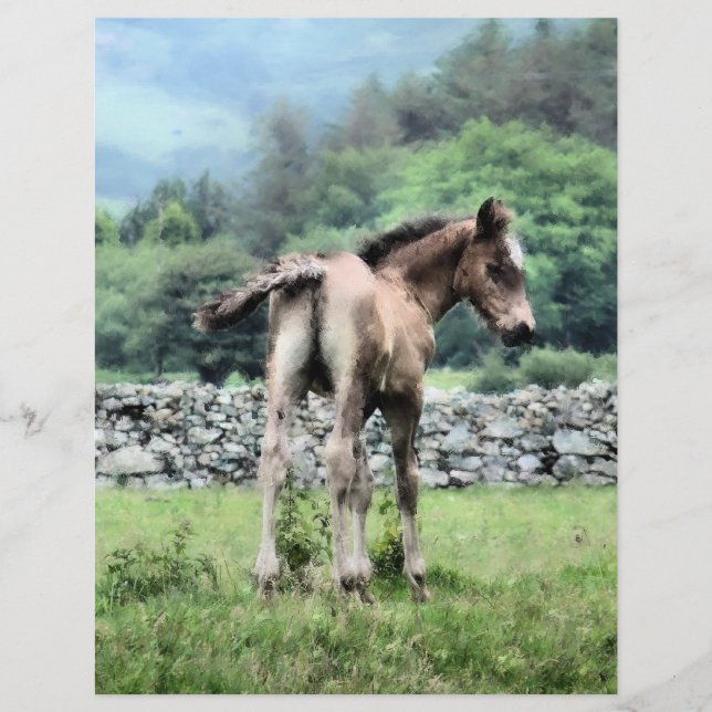 PFERDE FLYER (Vorne)