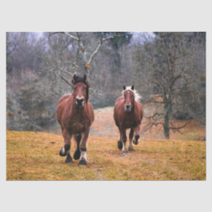 Pferde Galloping Decoupage Tissue Paper Seidenpapier