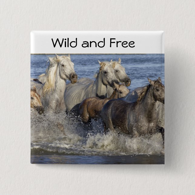 Pferde galoppieren im Wasser Button (Vorderseite)