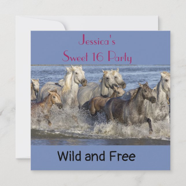 Pferde galoppieren im Wasser Einladung (Vorderseite)