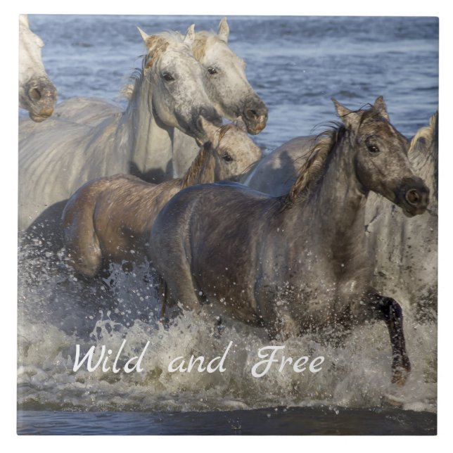 Pferde galoppieren im Wasser Fliese (Vorderseite)