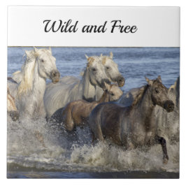 Pferde galoppieren im Wasser Fliese