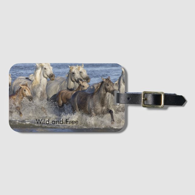 Pferde galoppieren im Wasser Gepäckanhänger (Vorderseite (Horizontal))