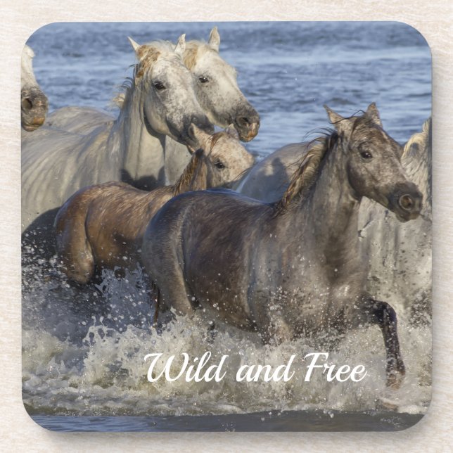 Pferde galoppieren im Wasser Getränkeuntersetzer