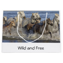 Pferde galoppieren im Wasser