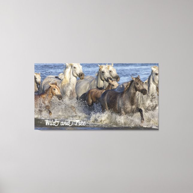 Pferde galoppieren im Wasser Leinwanddruck (Vorderseite)