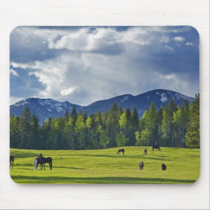 Pferde grasen auf einer Weide in der Nähe von Whit Mousepad