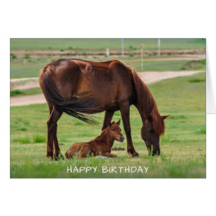Pferde Happy Birthday Card
